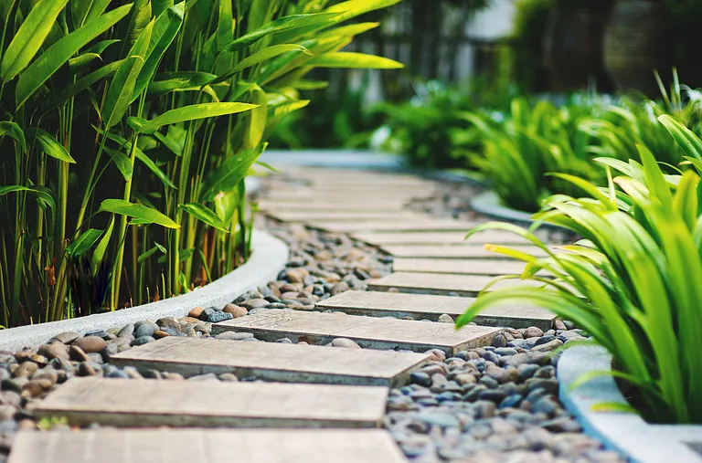 garden plebe stone path